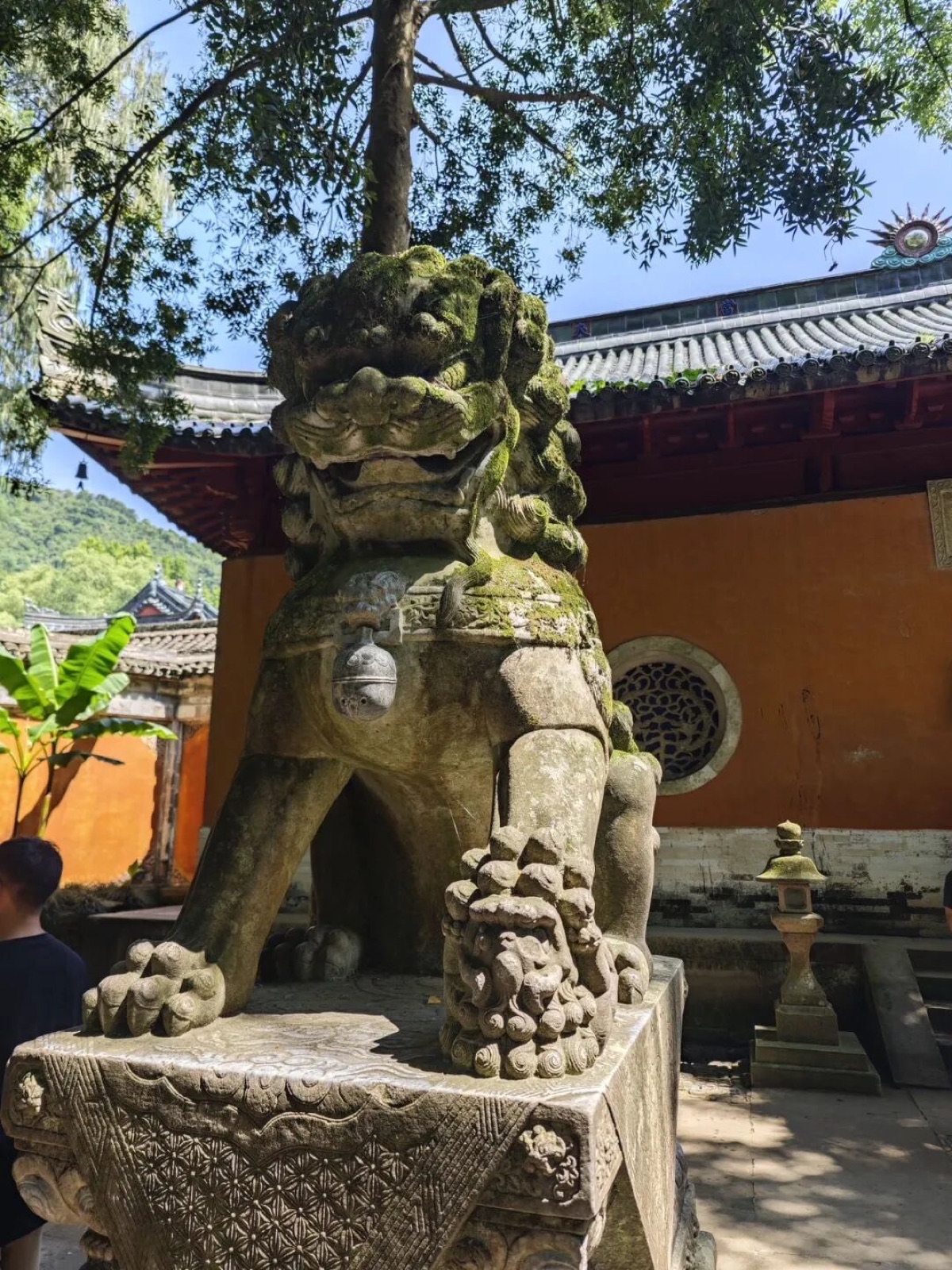天台游记-11