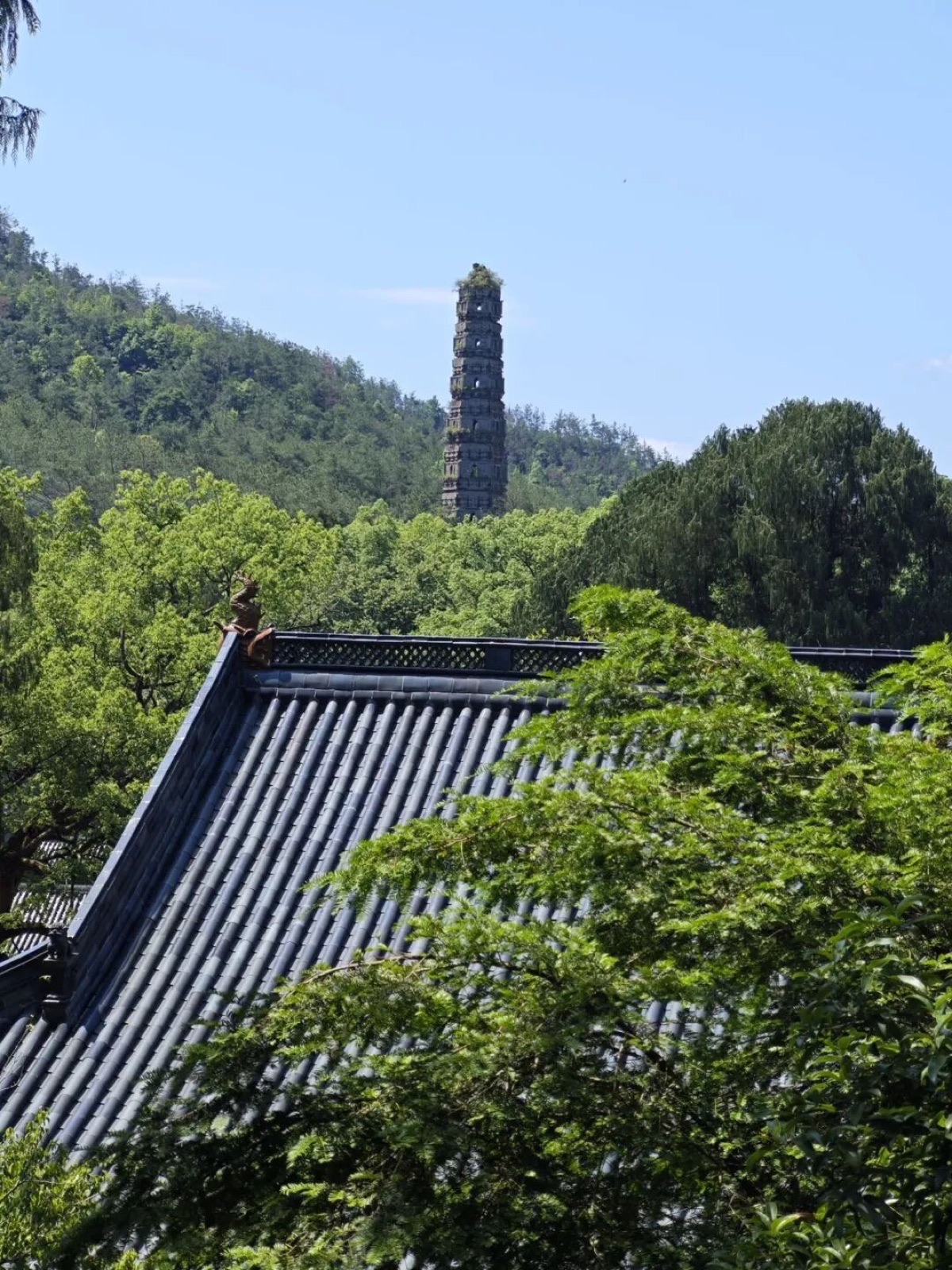 天台游记-12