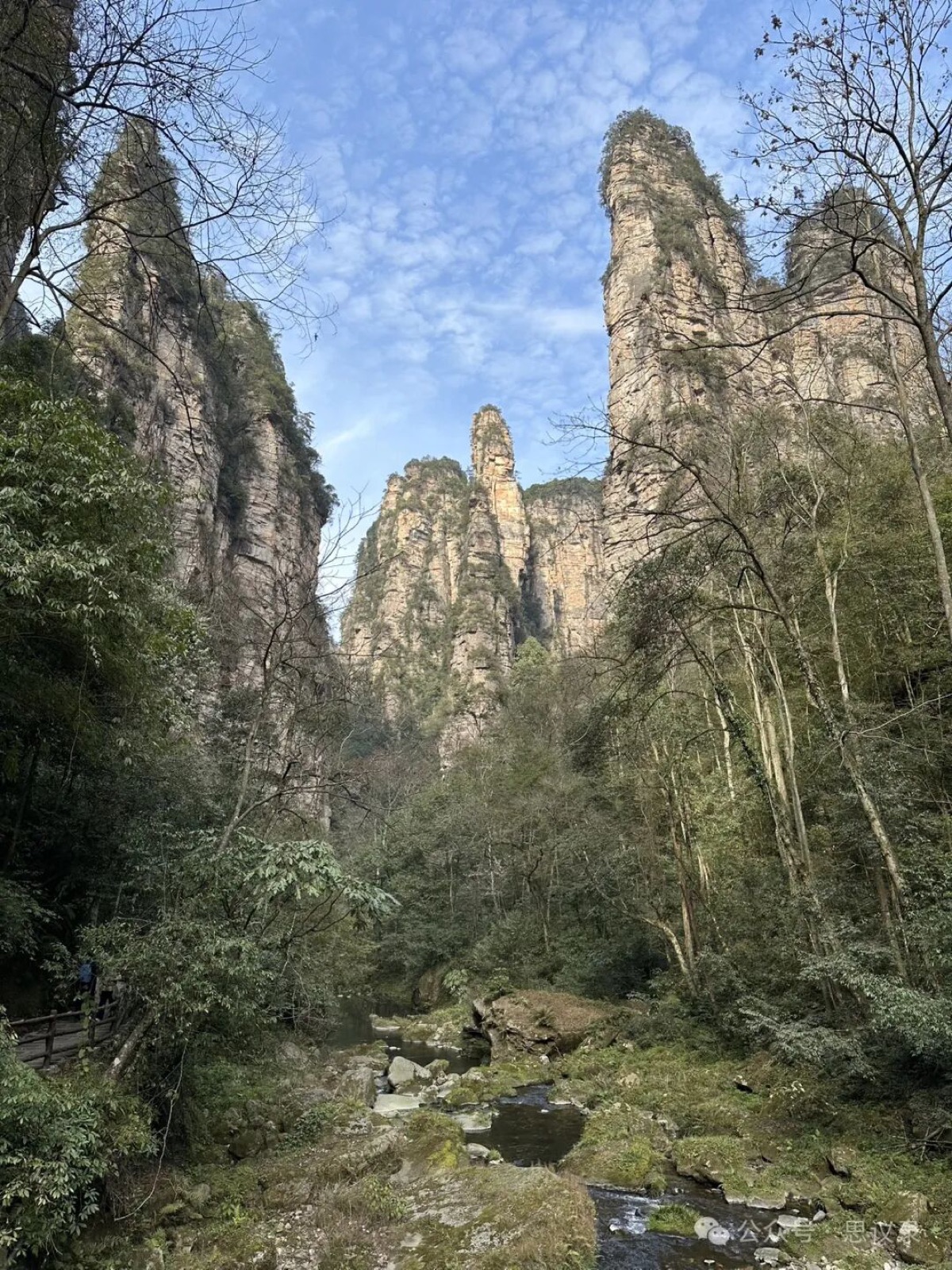 张家界神仙之旅-04