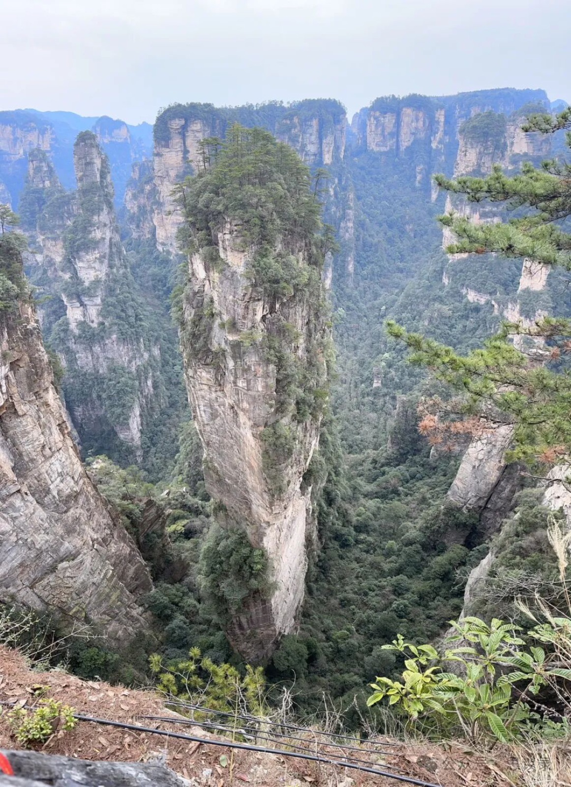 张家界神仙之旅-06